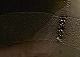 click to zoom