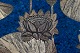 click to zoom