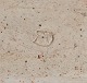 click to zoom