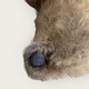 click to zoom