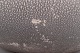 click to zoom