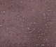 click to zoom