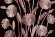 click to zoom