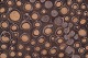 click to zoom