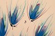 click to zoom