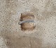 click to zoom