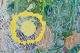 click to zoom