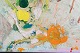 click to zoom