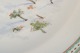click to zoom