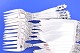 click to zoom