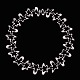 click to zoom