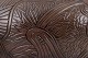 click to zoom