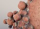 click to zoom