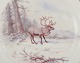 click to zoom