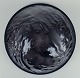 click to zoom