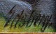 click to zoom