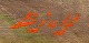 click to zoom