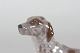 click to zoom