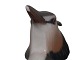 click to zoom