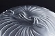 click to zoom