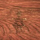 click to zoom
