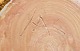 click to zoom