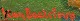 click to zoom