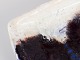 click to zoom