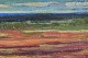 click to zoom