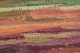 click to zoom
