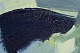 click to zoom