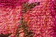 click to zoom