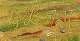 click to zoom