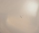 click to zoom