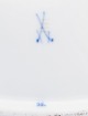 click to zoom