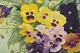click to zoom