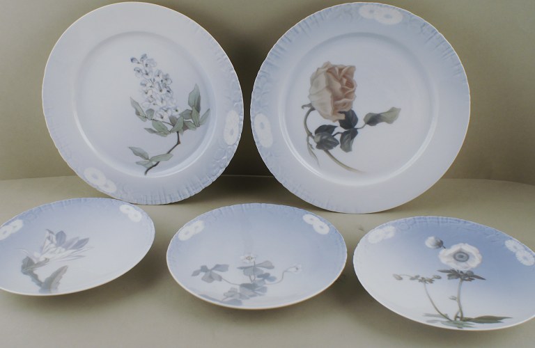5 Royal Copenhagen Art Nouveau plates decorated with flowers.