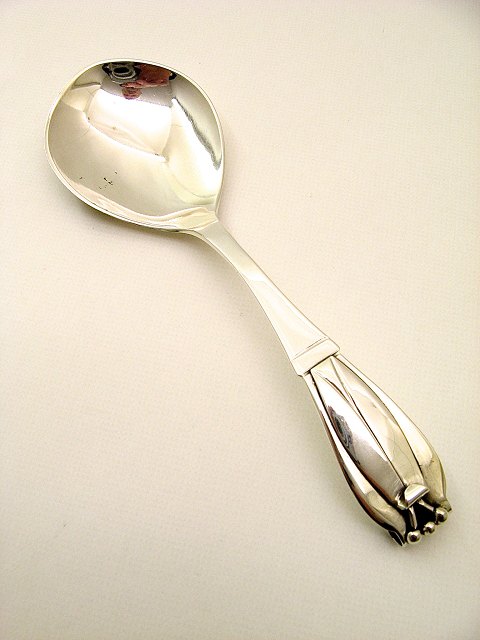 Serving spoon