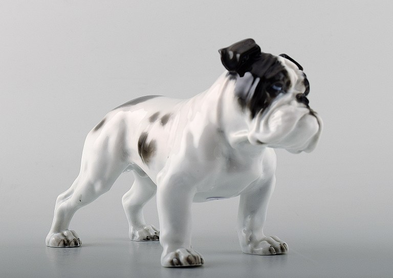 Rosenthal, stående bulldog i porcelæn. 
