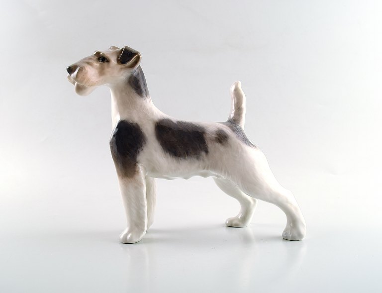 Royal Copenhagen dog figurine, wire-haired terrier.
