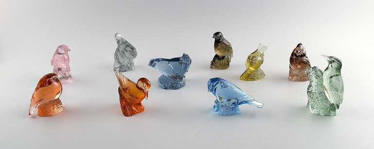 Paul Hoff for Svenskt glas, 10 fugle i kunstglas. WWF
