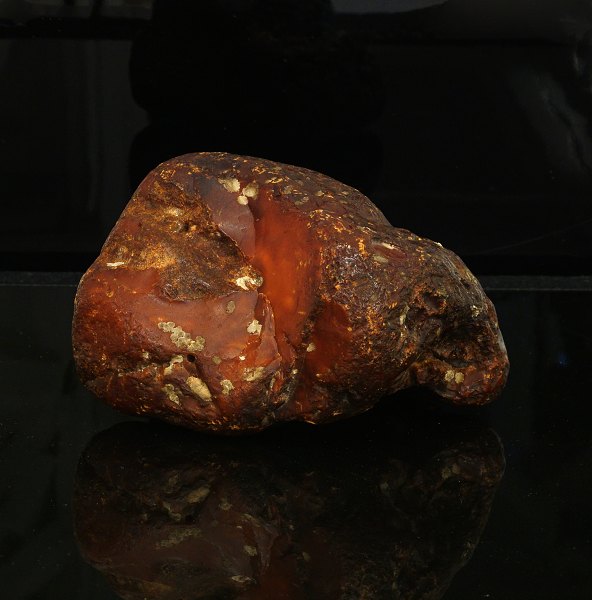 A very large piece of Danish amber. W: 630gr. D: 12,5x11x8,5cm