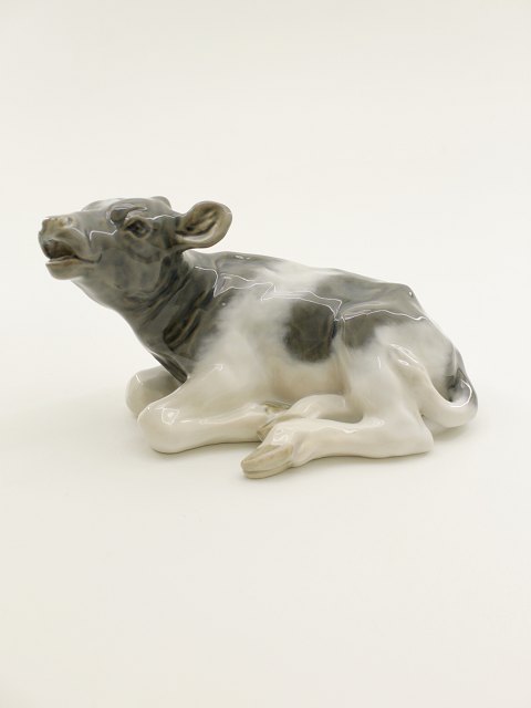 Royal Copenhagen calf 1072