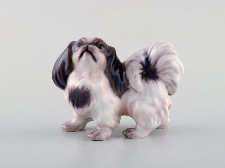 Dahl Jensen hundefigur, Pekingeser.
Dekorationsnummer 1146.