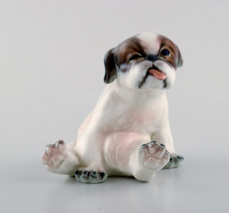 Dahl Jensen dog figurine, Pekingese Puppy.
Decoration number 1134.