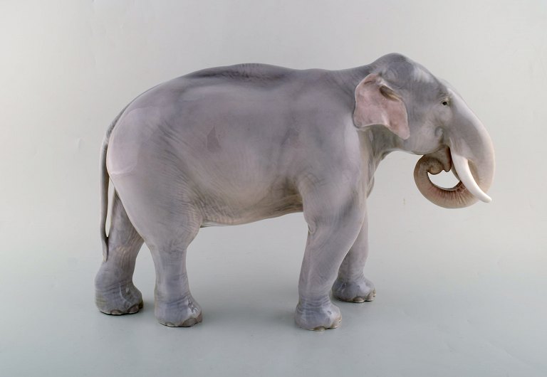 Theodor Madsen for Royal Copenhagen. Sjælden porcelænsfigur. Kolossal elefant. 
Dateret ca. 1910. Modelnummer 447. 
