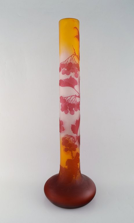 Kolossal Emile Gallé vase i matteret kunstglas med overfang af rødt kunstglas 
udskåret med motiver i form af bær og blade. Ca. 1910.
