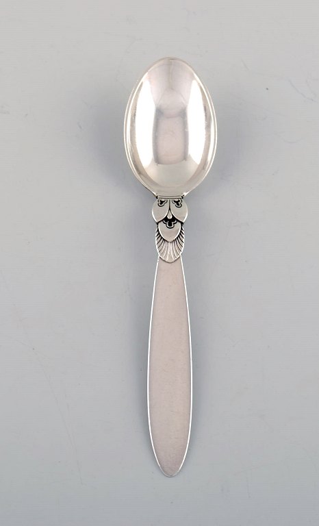 Georg Jensen Cactus teaspoon in sterling silver. 12 pcs in stock.
