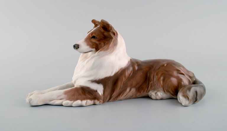 Royal Copenhagen porcelain figurine. Lying collie. Model number 1701. 1920