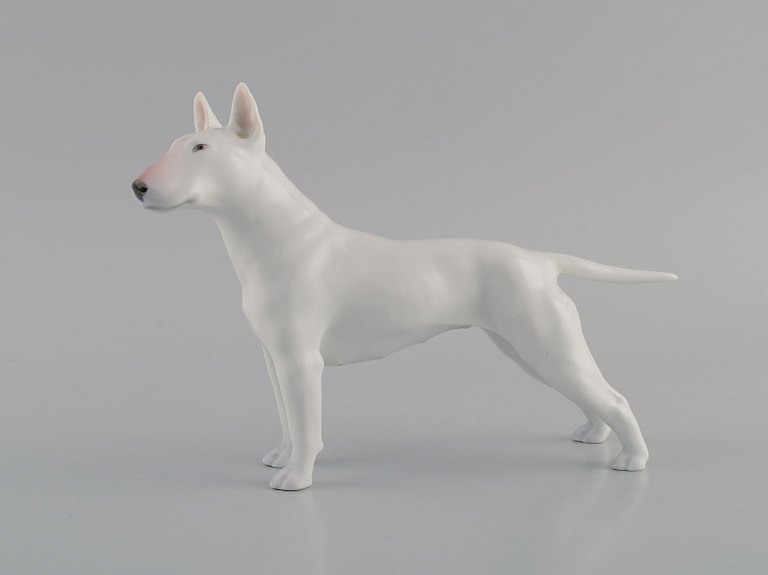 Royal Copenhagen porcelænsfigur. Engelsk bull terrier. Dateret 1957.
